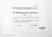 Pyrenophora graminea image